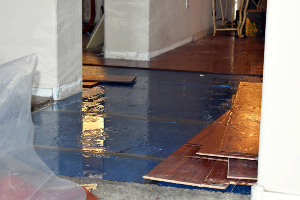 Professional Sewage Cleanup technician working in New Douglas, IL